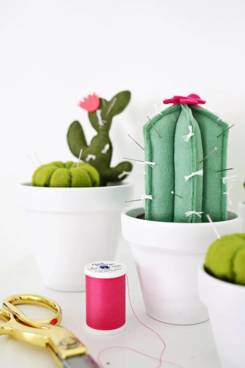 DIY Cactus Pincushion