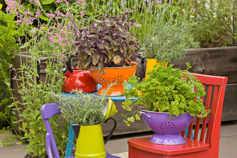 Use colanders for garden planters. They are colorful and offer good drainage.