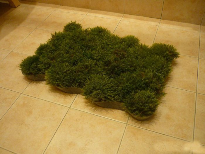 Grass DIY Bathroom Mats