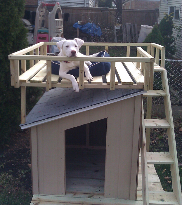 diy dog houses, dog houses,dog house,house for dogs,diy houses for dogs