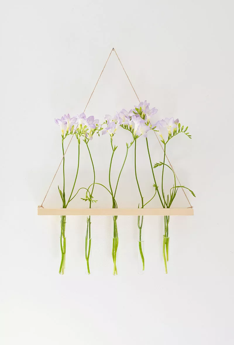 DIY Hanging Test Tubes Flower Vase