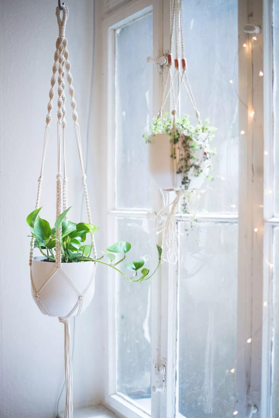 Macrame plant holders in front of a window