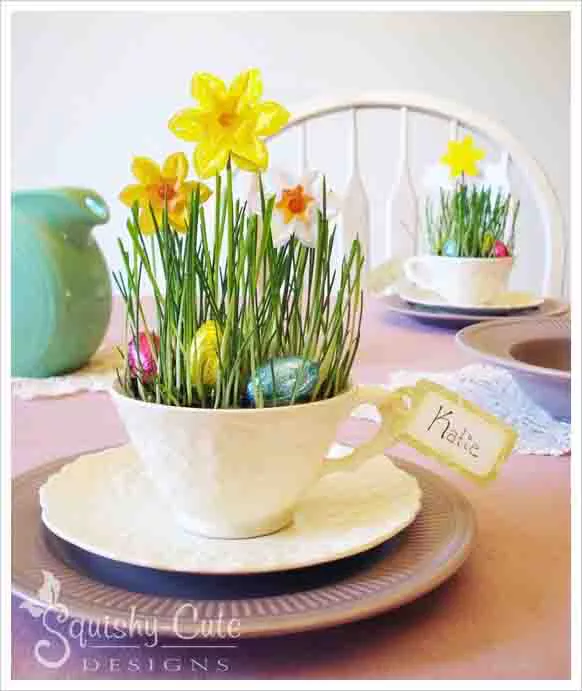 teacup daffodils