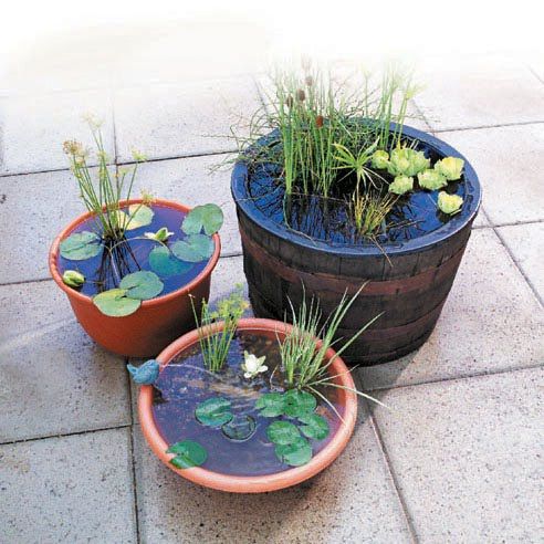 40+ Creative DIY Water Features For Your Garden --> Container Water Gardening
