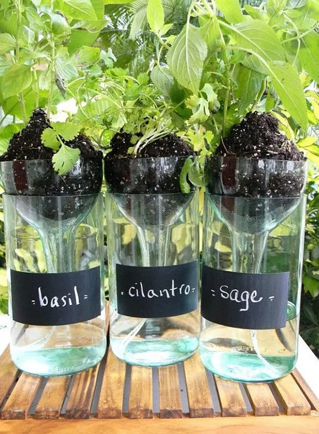 wine bottle self watering planter