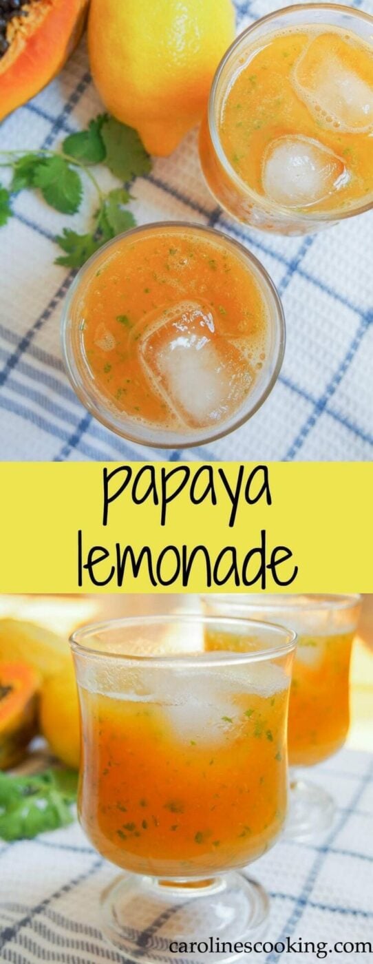 15 Fresh Papaya Recipes Perfect For The Summer - Papaya Recipes, papaya, Fresh Papaya Recipes Perfect For The Summer, Fresh Papaya Recipes