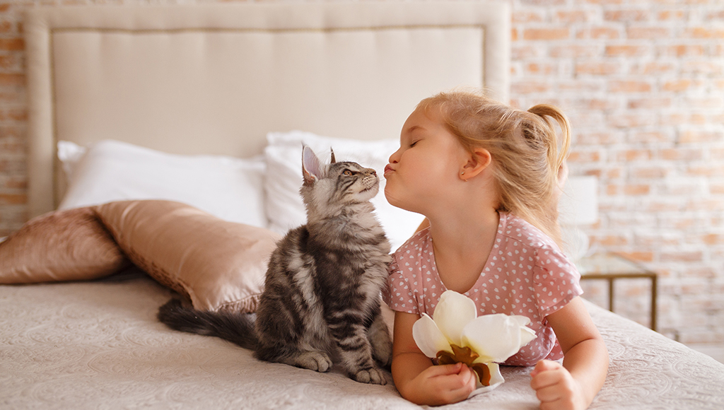 The Bond Between Children & Pets Cats and Dogs