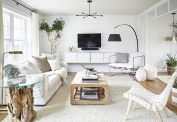 A Place to Relax: Living Room Essentials - sofa, rugs, Plants, Living room, lighting, essentials, coffee table, art