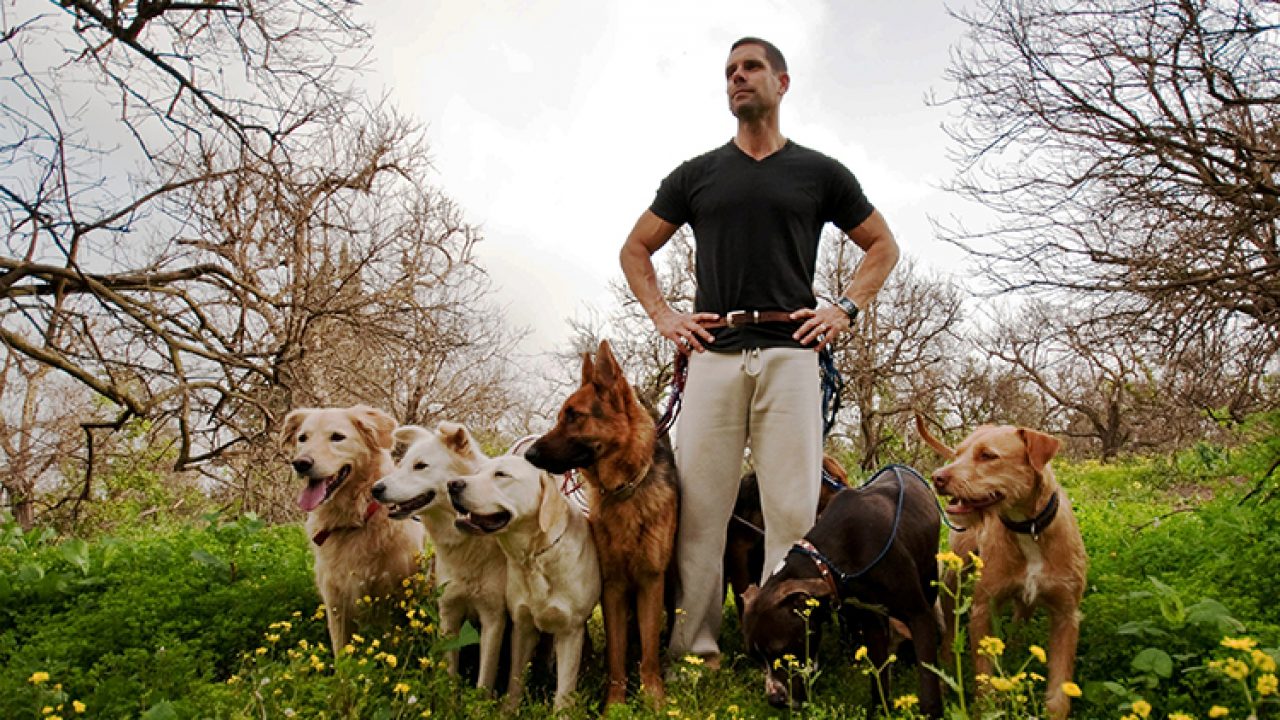 who is the best dog trainer in the world