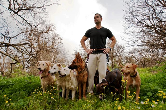 dog trainer california famous