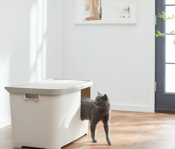 Litter boxes that sweep out and your cat won't refuse - style motivation, style, litter box, fashion style, fashion, cats, cat's litter