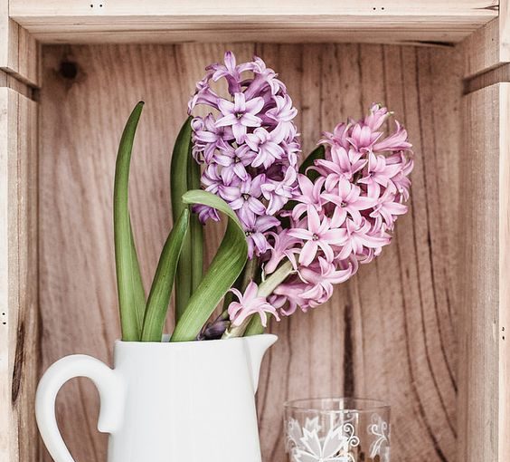 The season for hyacinths - how to decorate the house - style motivation, season of hyacinths, Plants, plant decor, home decor