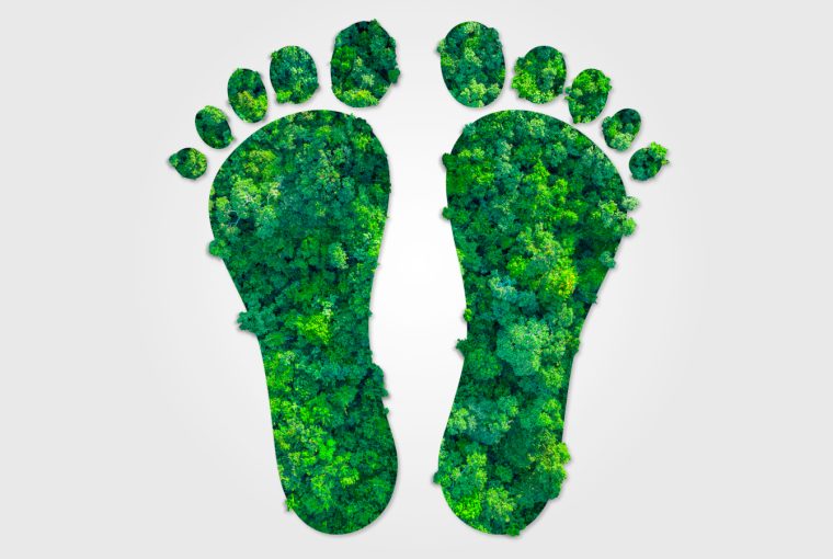 4 Easy Ways To Shrink Your Carbon Footprint - Lifestyle, Carbon Footprint