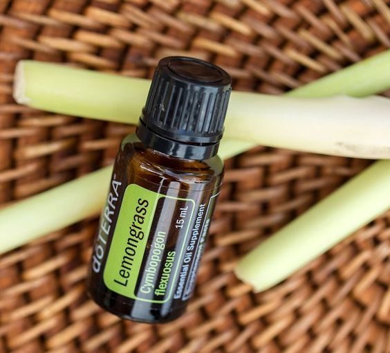 Useful properties of lemongrass oil and ways to use it in cosmetology - style motivation, skin, oils, oil benefits, lemongrass oil benefits, lemongrass oil, lemongrass, benefits, beauty