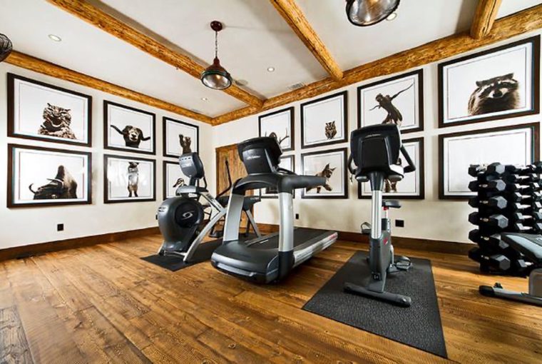 10 Examples of Home Gym Design - wall unit, vintage, rustic, modular, luxury, industrial, home gym, home design, compound, basement