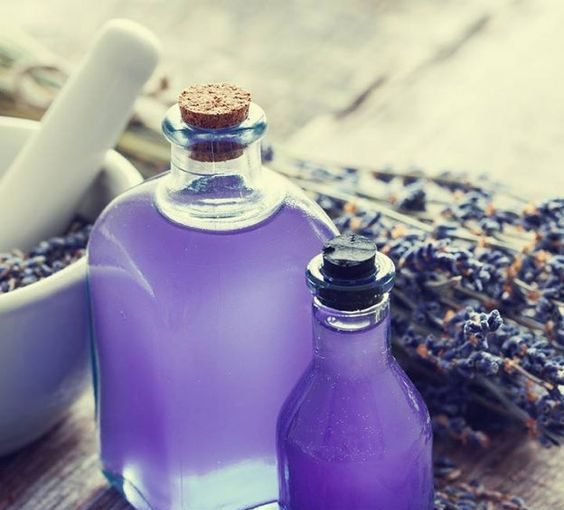 Lavender Hair Oil: Benefits and Applications - therapeutic benefits of lavender oil, style motivation, style, lavender oil, lavender, fashion, beauty tips, beauty